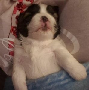 Meet your Posher, Maylynn